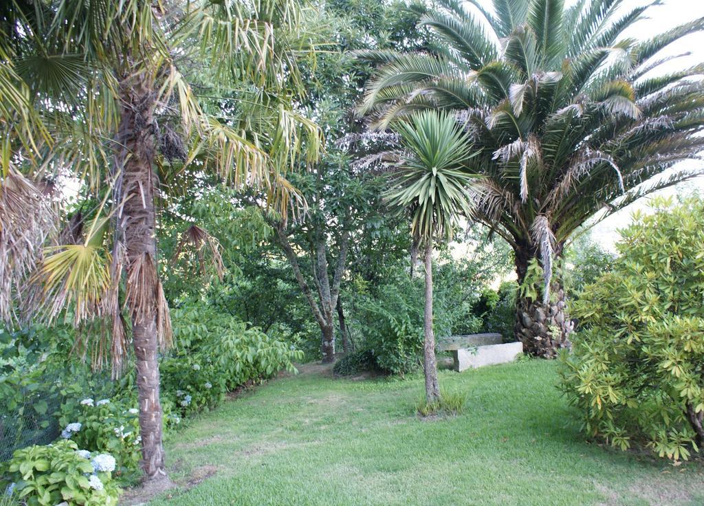 Quinta De Canhoes Sao Pedro do Sul Luaran gambar