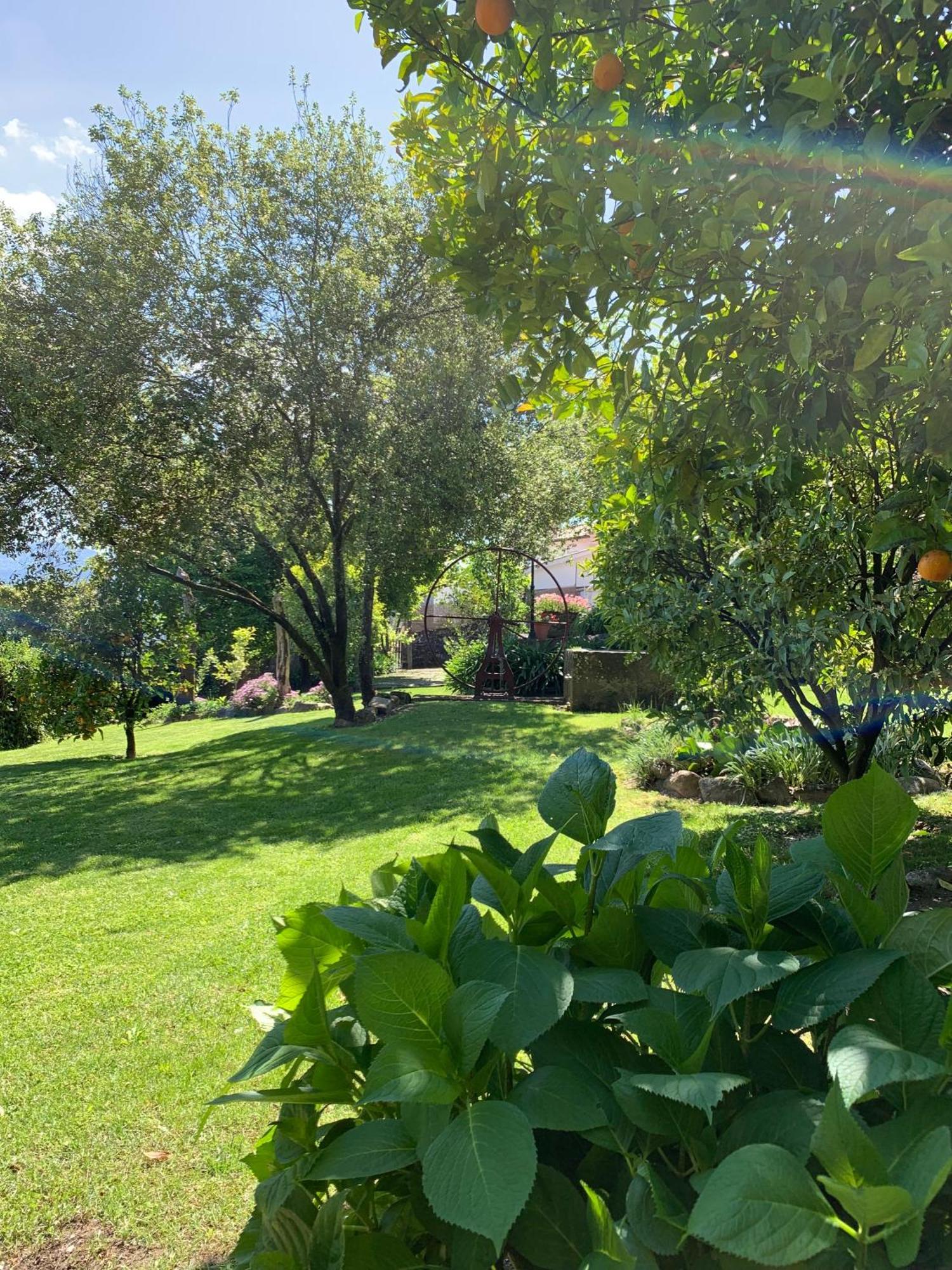 Quinta De Canhoes Sao Pedro do Sul Luaran gambar