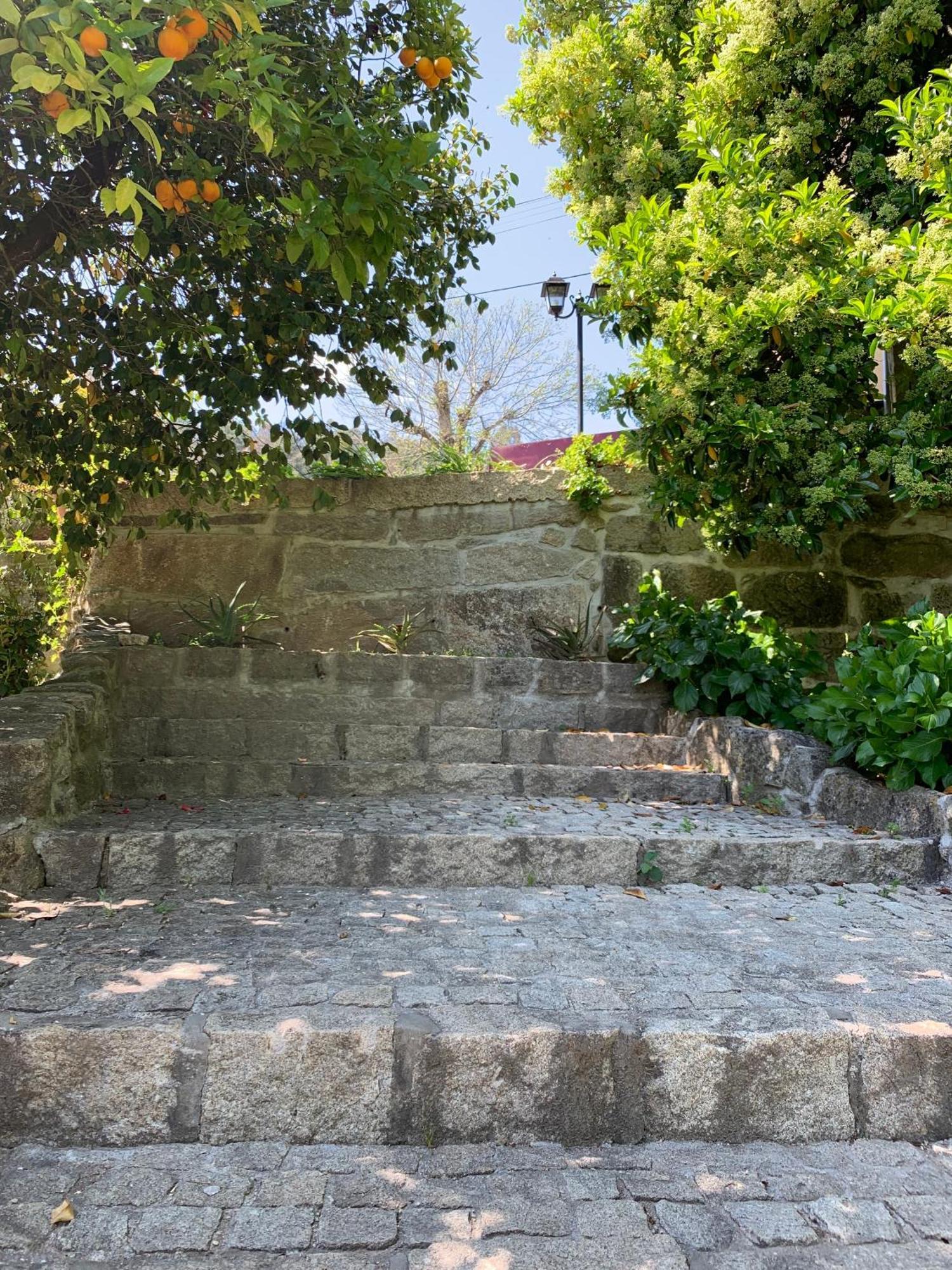 Quinta De Canhoes Sao Pedro do Sul Luaran gambar